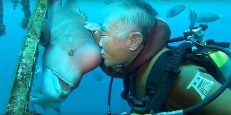 صداقة عجيبة عمرها ٢٥ عاماً بين رجل وسمكة .. شاهد بالفيديو سمكة