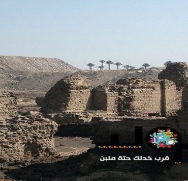 أبو المسك كافور