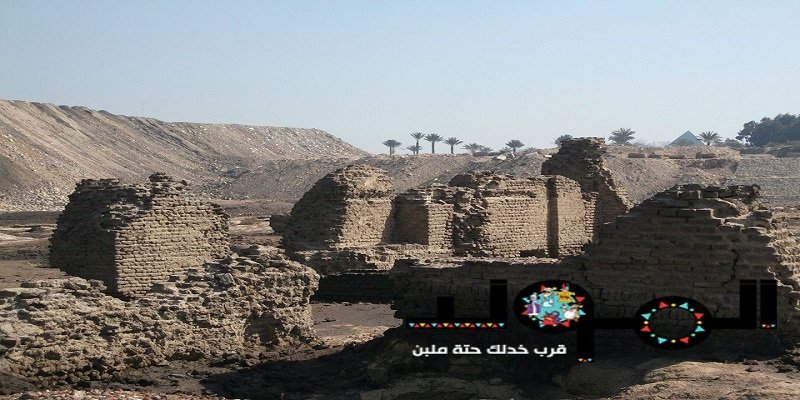 أبو المسك كافور