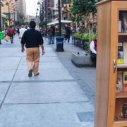 مكتبات الشوارع