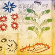 مخطوطة نادرة