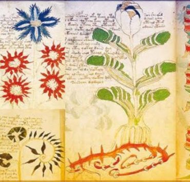 “خربتا” سماها عادل إمام “خربتها” وتاريخها ..قرية لتصدير الخراب مخطوطة نادرة