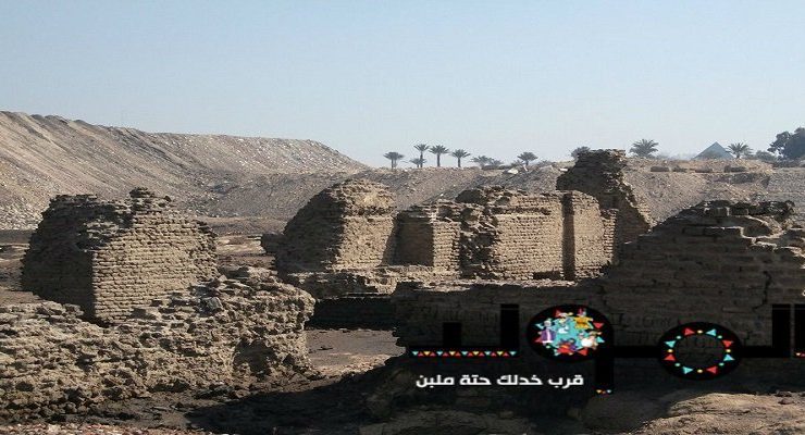 أبو المسك كافور