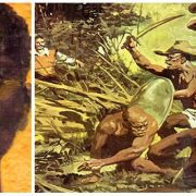 مسلمي البرازيل