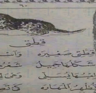 قطتي صغيرة واسمها نميرة