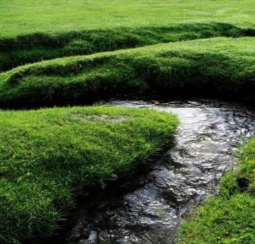 “القاهرة سنة 1908” اختراع “الفياجرا المصرية” .. العلبة بـ 20 قرش نهر هوالاي