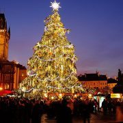 شجرة عيد الميلاد