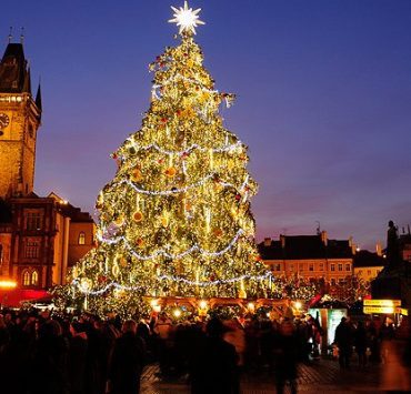 شجرة عيد الميلاد