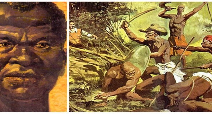 مسلمي البرازيل