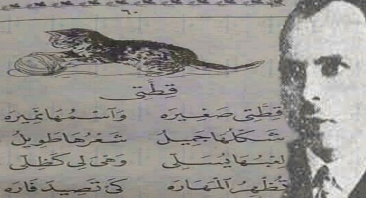 قطتي صغيرة واسمها نميرة