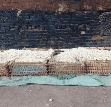 البوسة فضلوها عن الأدب والسينما النظيفة .. حين صار الحب جريمة الأدب