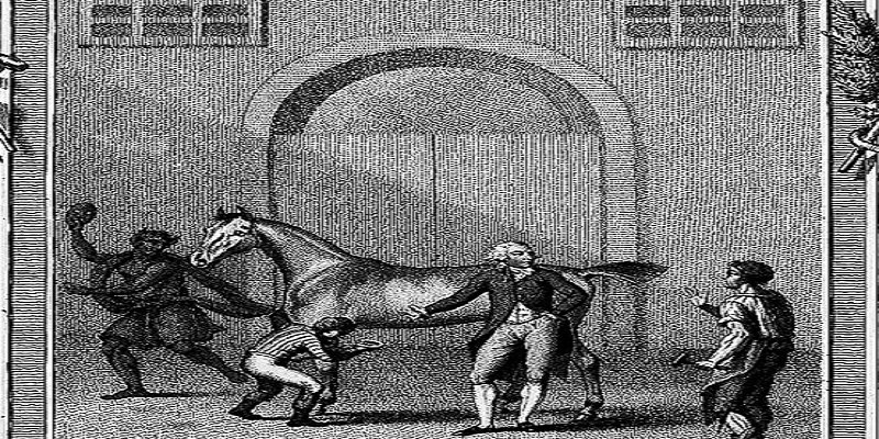 “هامون” مؤسس كلية الطب البيطري في مصر.. انتهى أمره مطرودا برشوة هامون