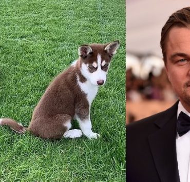 ليوناردو دي كابريو