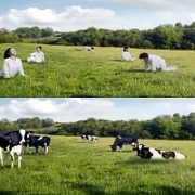 شركة ألبان كورية