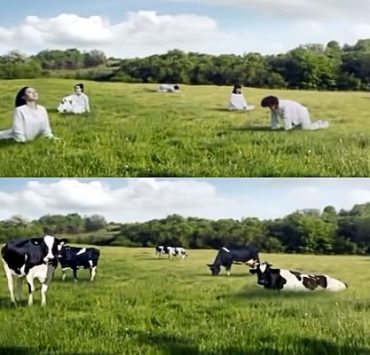 شركة ألبان كورية