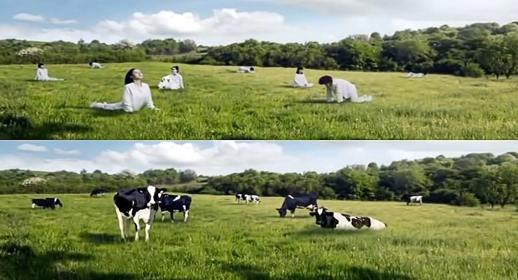 شركة ألبان كورية