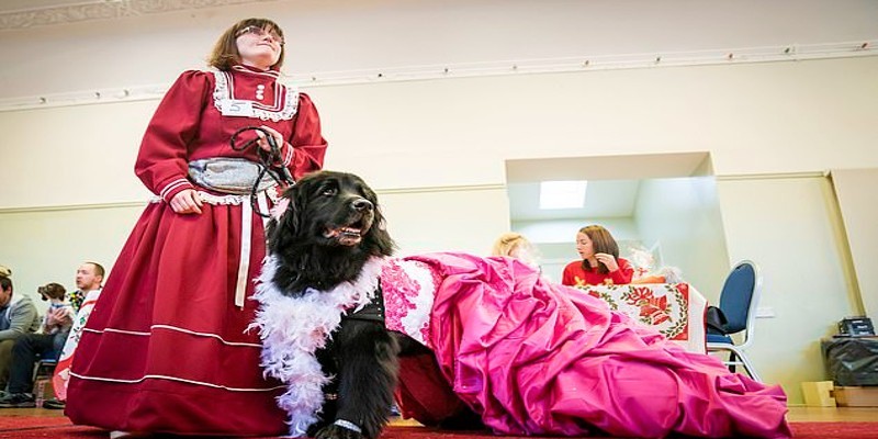 مسابقة بين الكلاب، لأفضل فستان من الزمن الفيكتوري مسابقة بين الكلاب