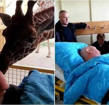 ليه يازمان ماسبتناش أبرياء.. نعيمة الصغير من مطربة إلى الكتعة الزرافات