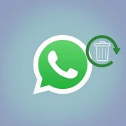 الطرق المختلفة لكيفية استعادة صور واتساب المحذوفة على الاندرويد أو iOS