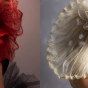 التربية والتعليم وحياة كريمة