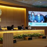 محاكاة حقوق الإنسان