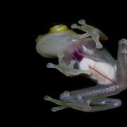 متجر أمازون على ويندوز 11