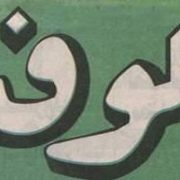 جريدة الوفد