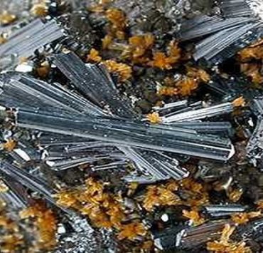 سموم الثاليوم