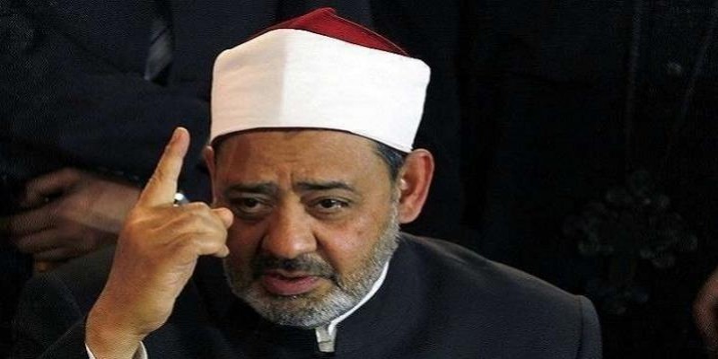 الكد والسعاية