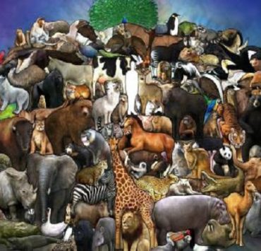 عالم الحيوانات