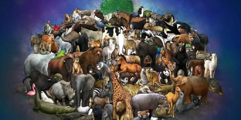 شرب البول ومحاولات القتل.. بعض التقاليد الغريبة في عالم الحيوانات للتزاوج عالم الحيوانات