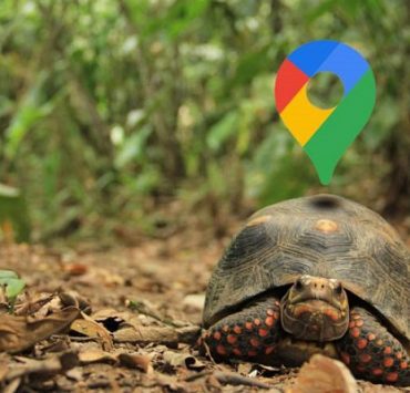 حل مشكلة بطء خرائط جوجل