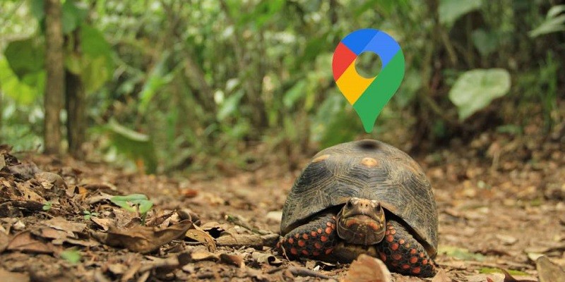 حل مشكلة بطء خرائط جوجل