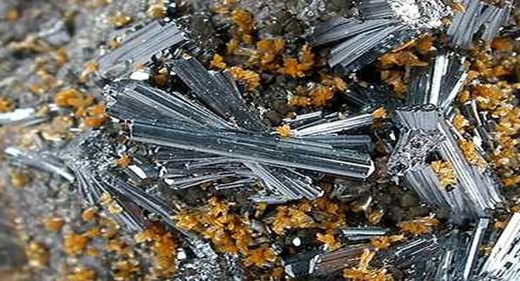 سموم الثاليوم