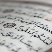 عادات غذائية