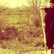 الريف المصري