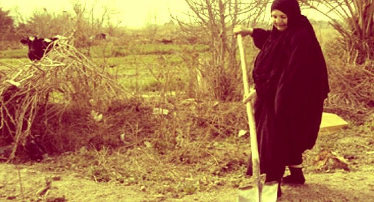 الريف المصري