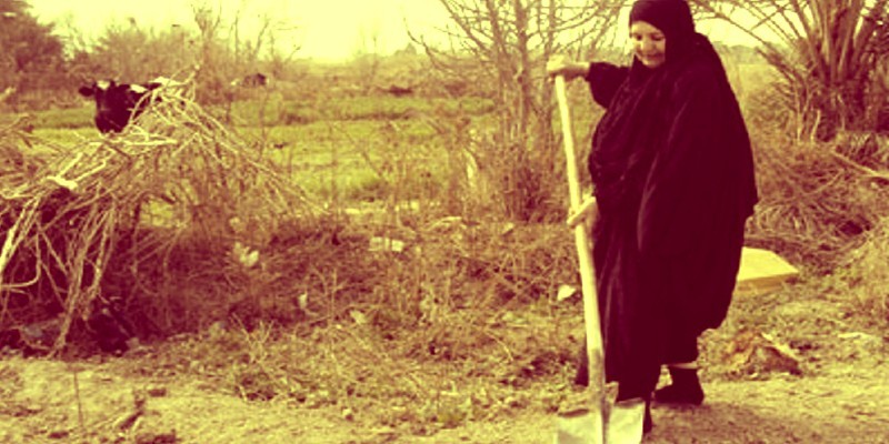 الريف المصري