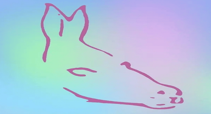 لعبة الخداع البصري