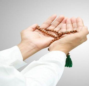 زبيدة ثروت تكتب : مطاردة مع الشاشة الملونة صلاة التسابيح