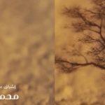 قريبًا.. “المشوار” بث مباشر المشوار