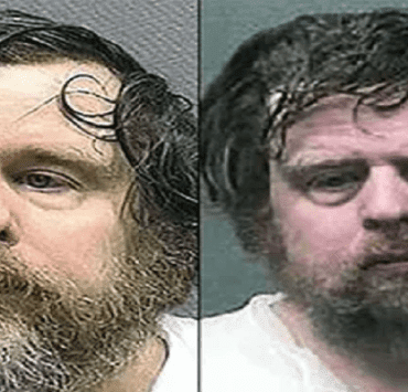 التوائم في الشر