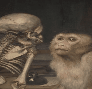 وادي الأشجار المربعة الداروينية