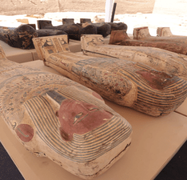 الداروينية