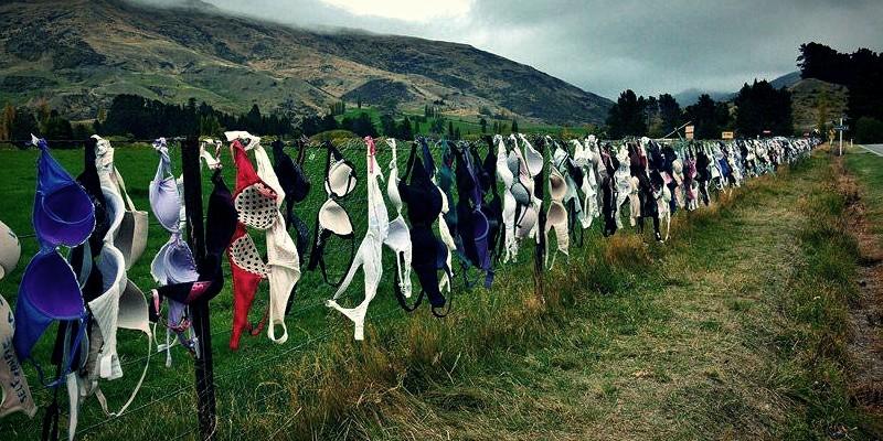 حمالات الصدر