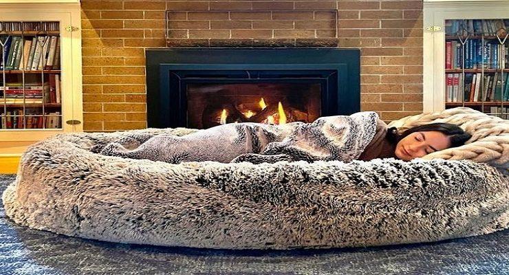 سرير من الكلاب