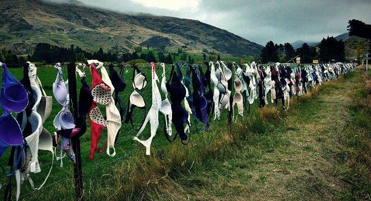 حمالات الصدر