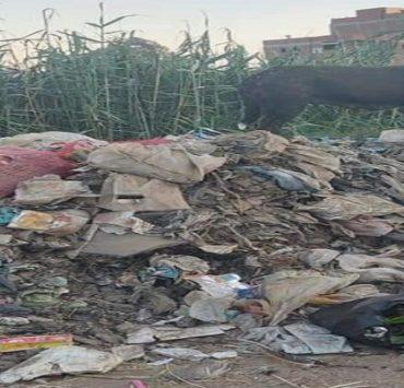 القمامة في قرية ابشواي