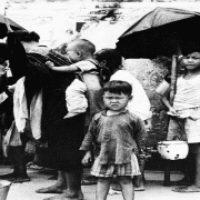 داود عبد السيد