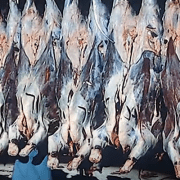 لحوم عيد الأضحى